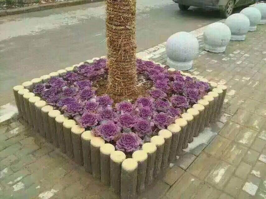 重庆仿木花箱批发